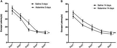 Ketamine Administration Leads to Learning-Memory Dysfunction and Decreases Serum Brain-Derived Neurotrophic Factor in Rats